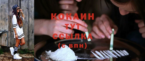 крисы Зеленодольск