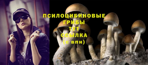 ПСИЛОЦИБИНОВЫЕ ГРИБЫ Зеленокумск