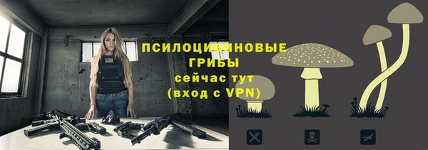 ПСИЛОЦИБИНОВЫЕ ГРИБЫ Зеленокумск