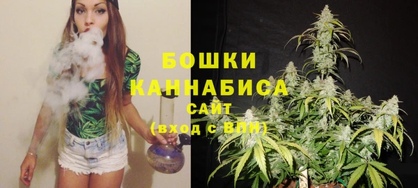 крисы Зеленодольск
