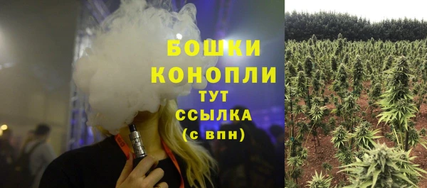крисы Зеленодольск