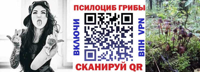 Купить где  Новошахтинск  Галлюциногенные грибы ЛСД 